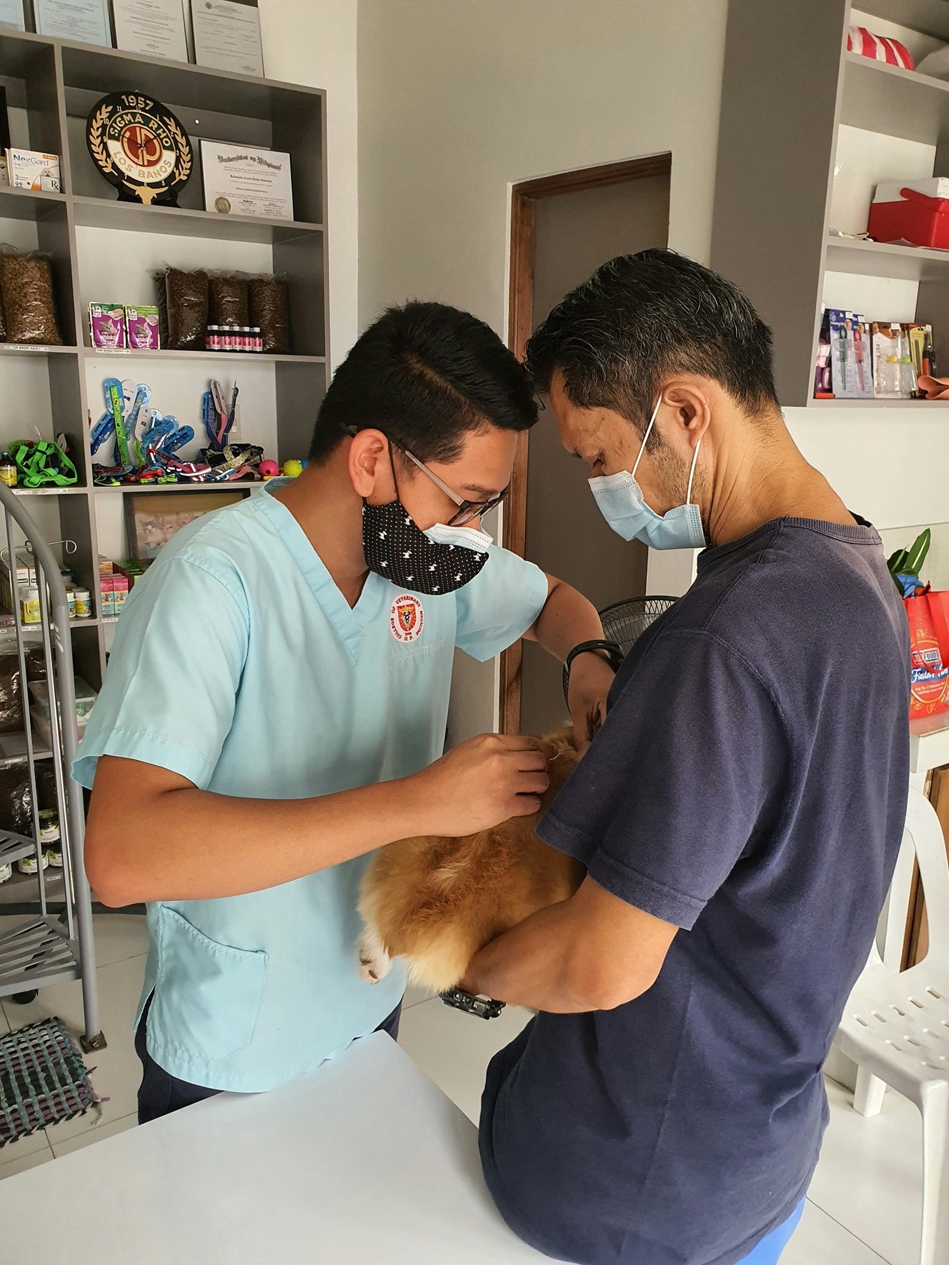 Consulta General y Pediatría Veterinaria